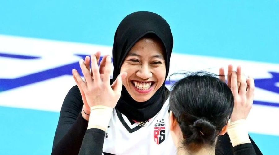 Harapan Penggemar dan Masa Depan "Megatron"